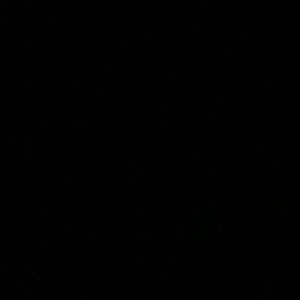 Meet your Posher, Maureen